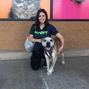 Meet your Posher, Brooke